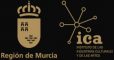 Logos CARM-ICA